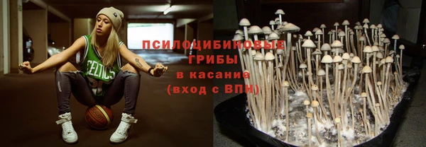 ГАЛЛЮЦИНОГЕННЫЕ ГРИБЫ Белая Холуница