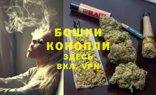 spice Михайловск