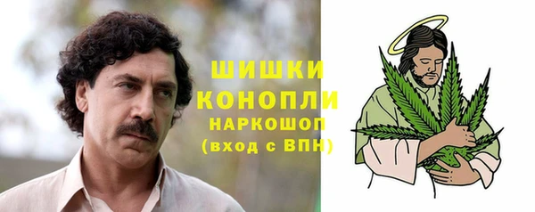крисы Ессентукская