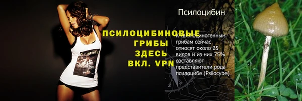 spice Михайловск